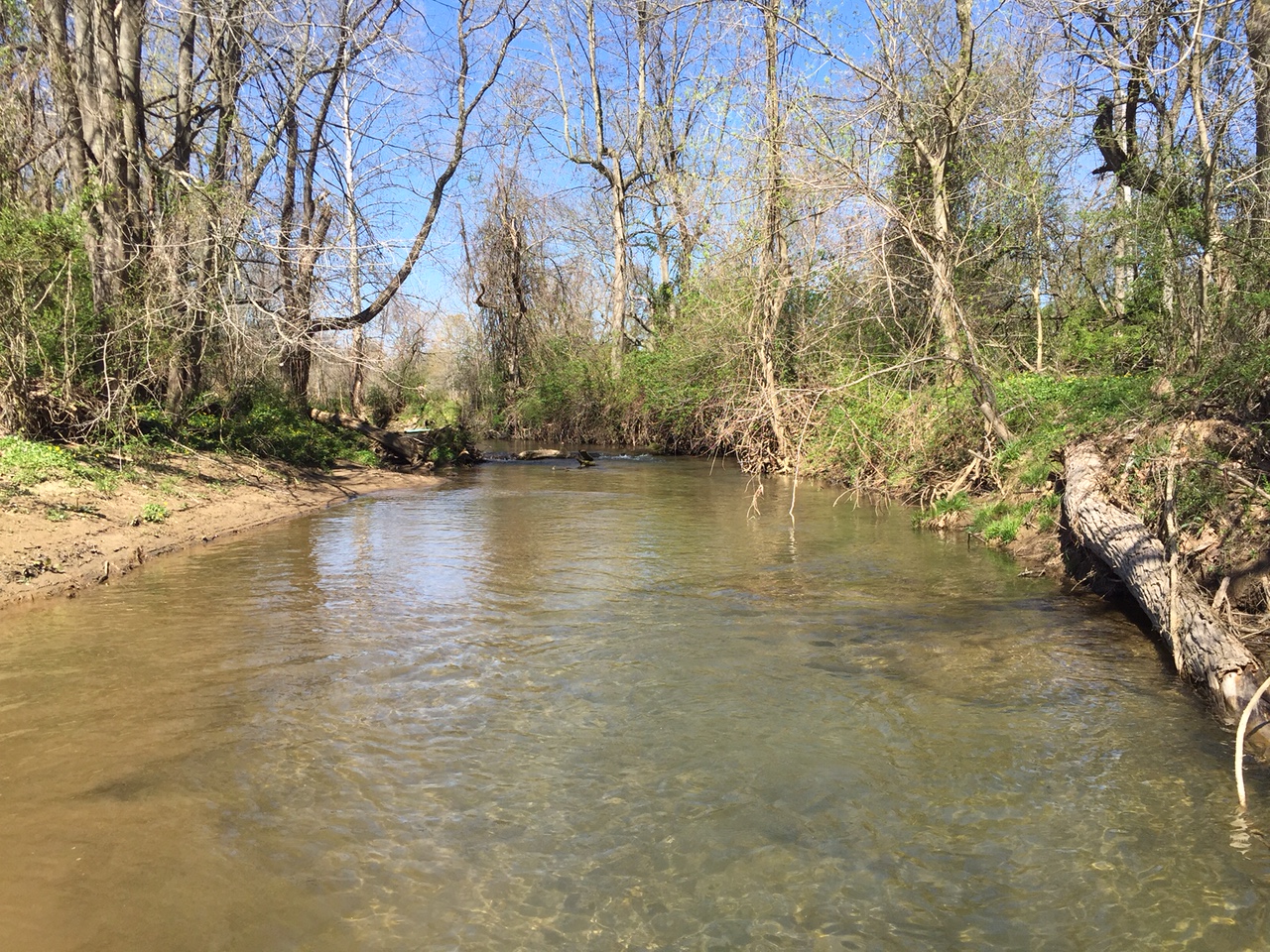 Field photo showing stream conditions at site LOCH-317-R-2016-midpoint upstream